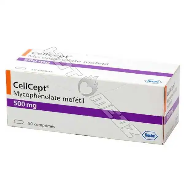 Mycophenolate Mofetil